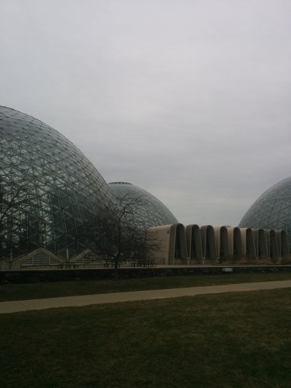 The Domes